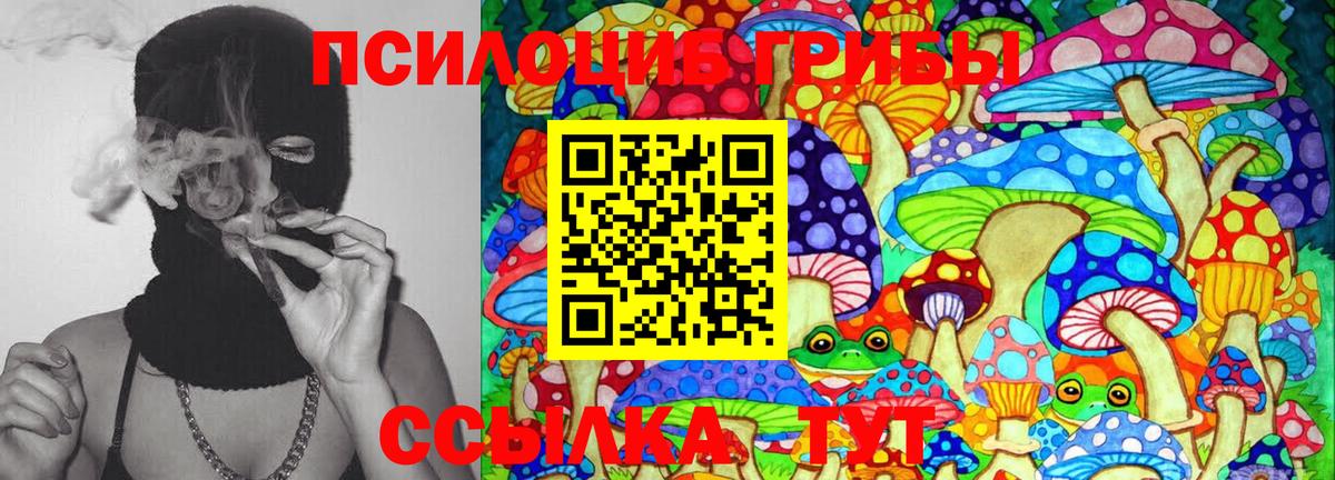 Псилоцибиновые грибы мицелий  Псилоцибиновые грибы Cubensis  Коркино  Вход с VPN 