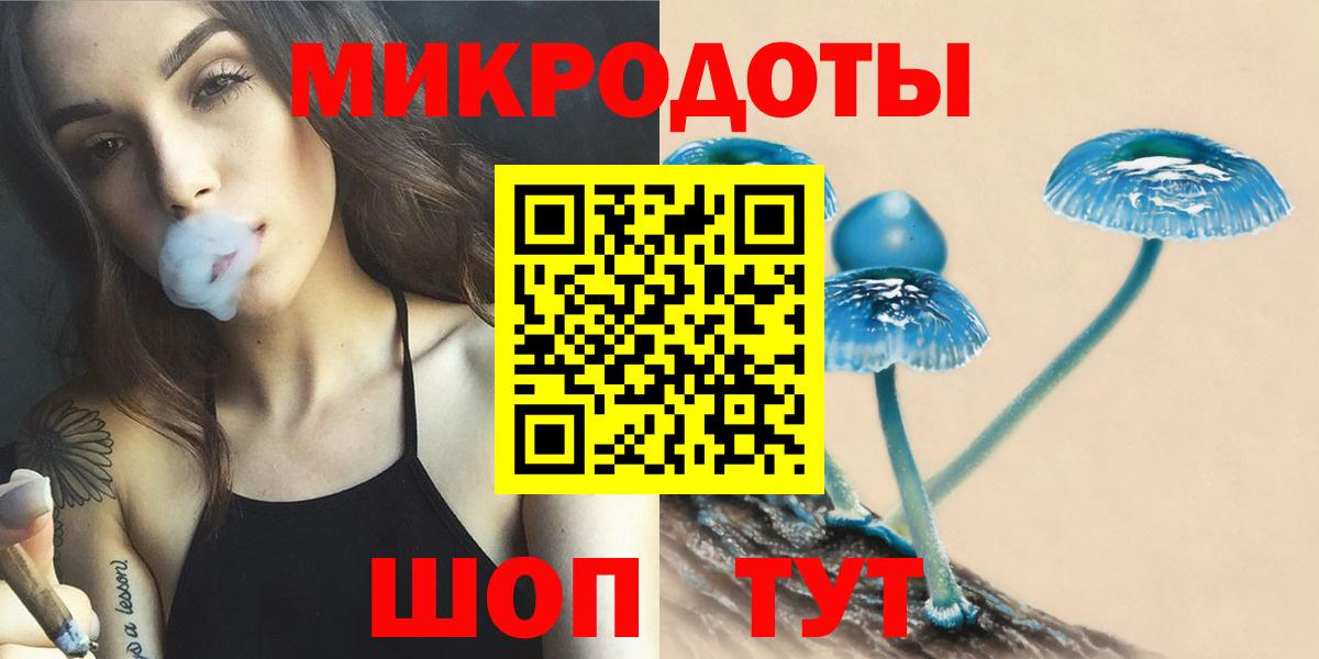 Псилоцибиновые грибы Psilocybe Коркино